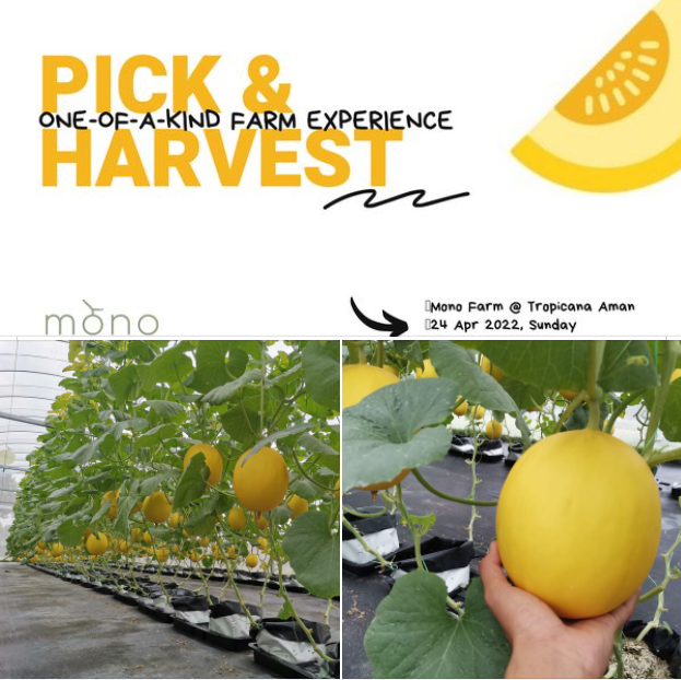 Pick & Harvest One-Of-A-Kind Farm Experience